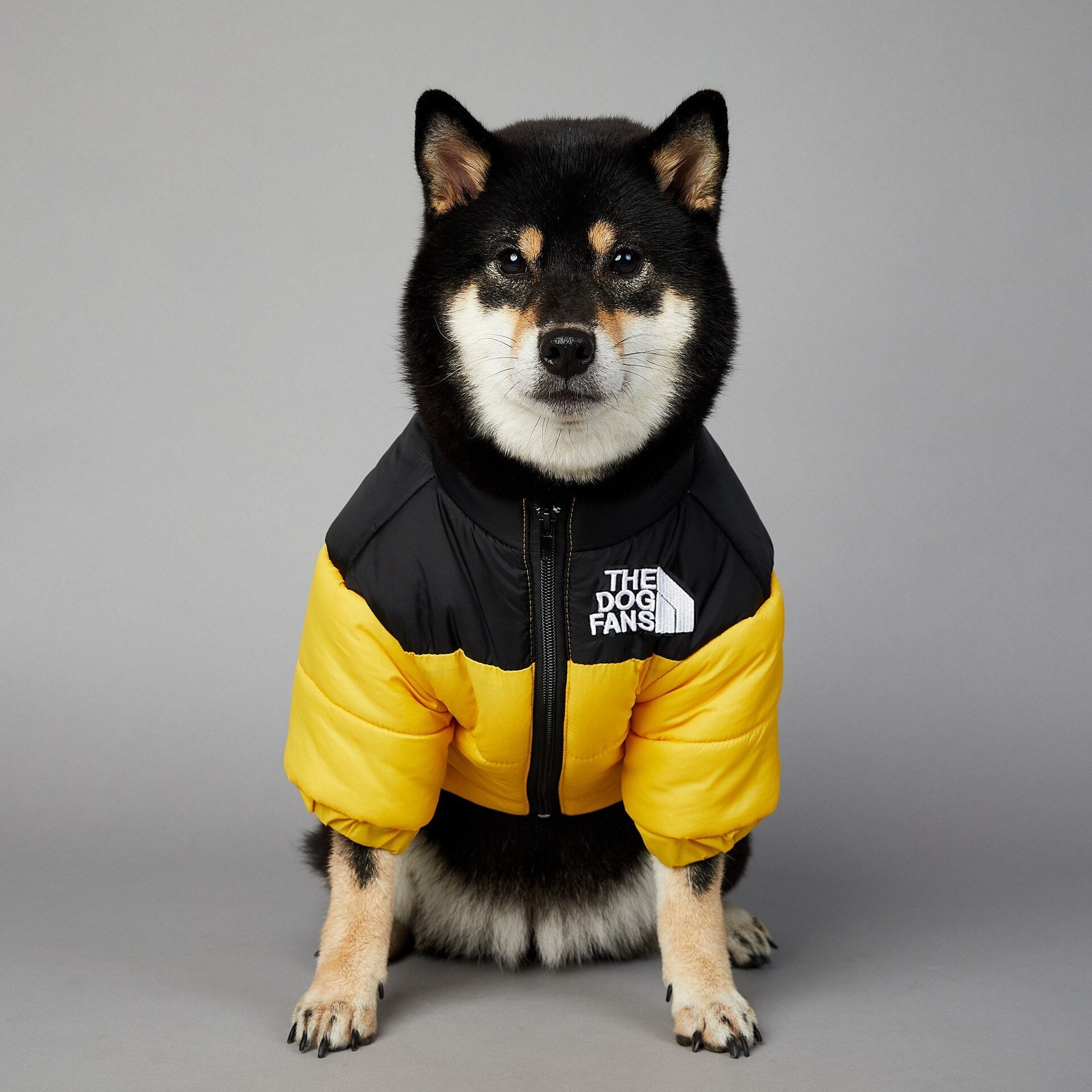 Dog Face Puffer Coat - Alvorro