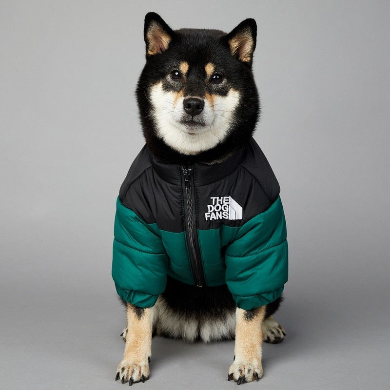 Dog Face Puffer Coat - Alvorro