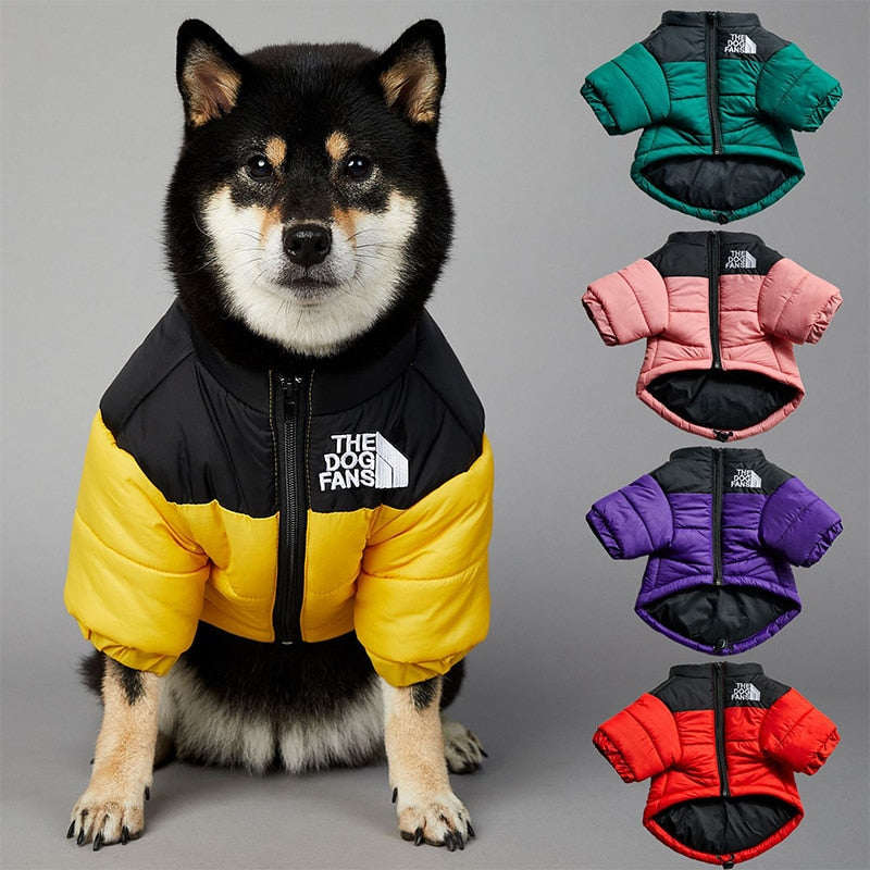 Dog Face Puffer Coat - Alvorro
