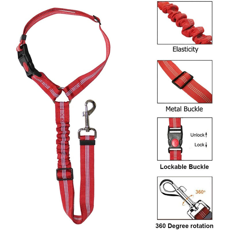 Car Dog Leash - Alvorro