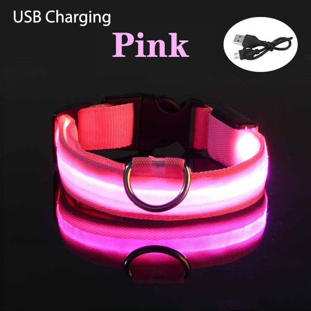 LED Flashing Dog Collar - Alvorro