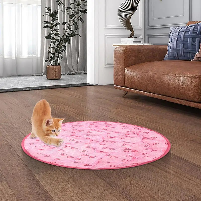 2 in 1 Simulated Interactive Hunting Cat Toy - Alvorro