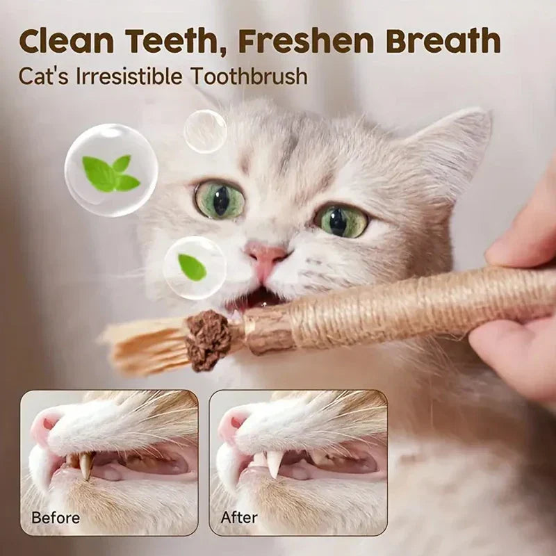CAT SILVERVINE CHEWING STICK - Alvorro