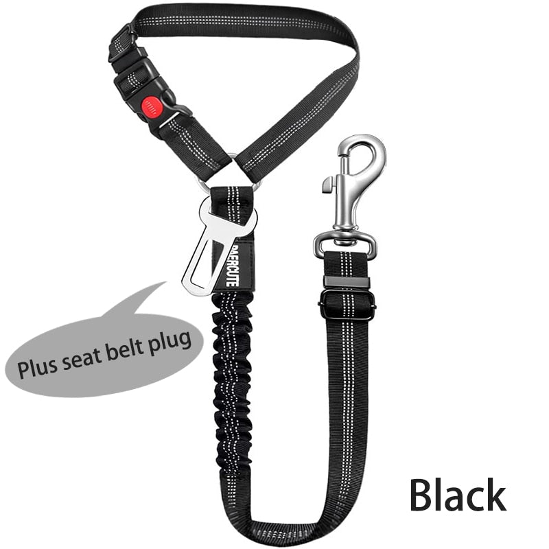 Car Dog Leash - Alvorro