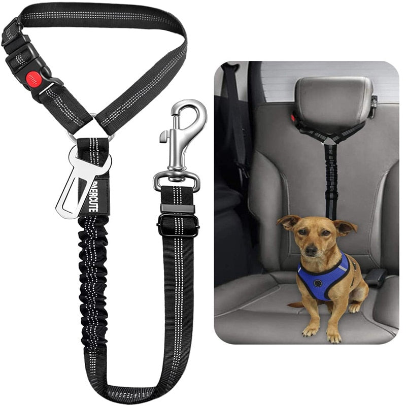 Car Dog Leash - Alvorro