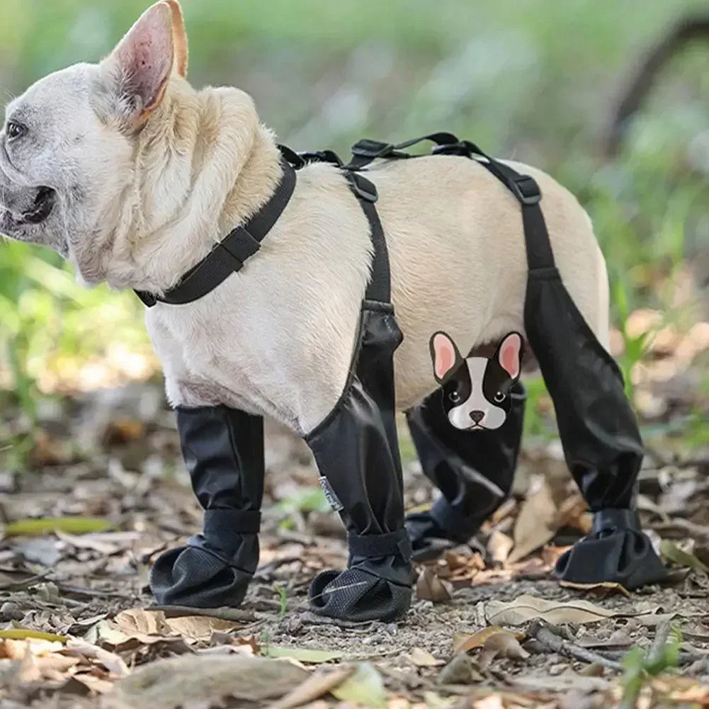 Adjustable Connected Dog Boots - Ultimate Paw Protection - Alvorro