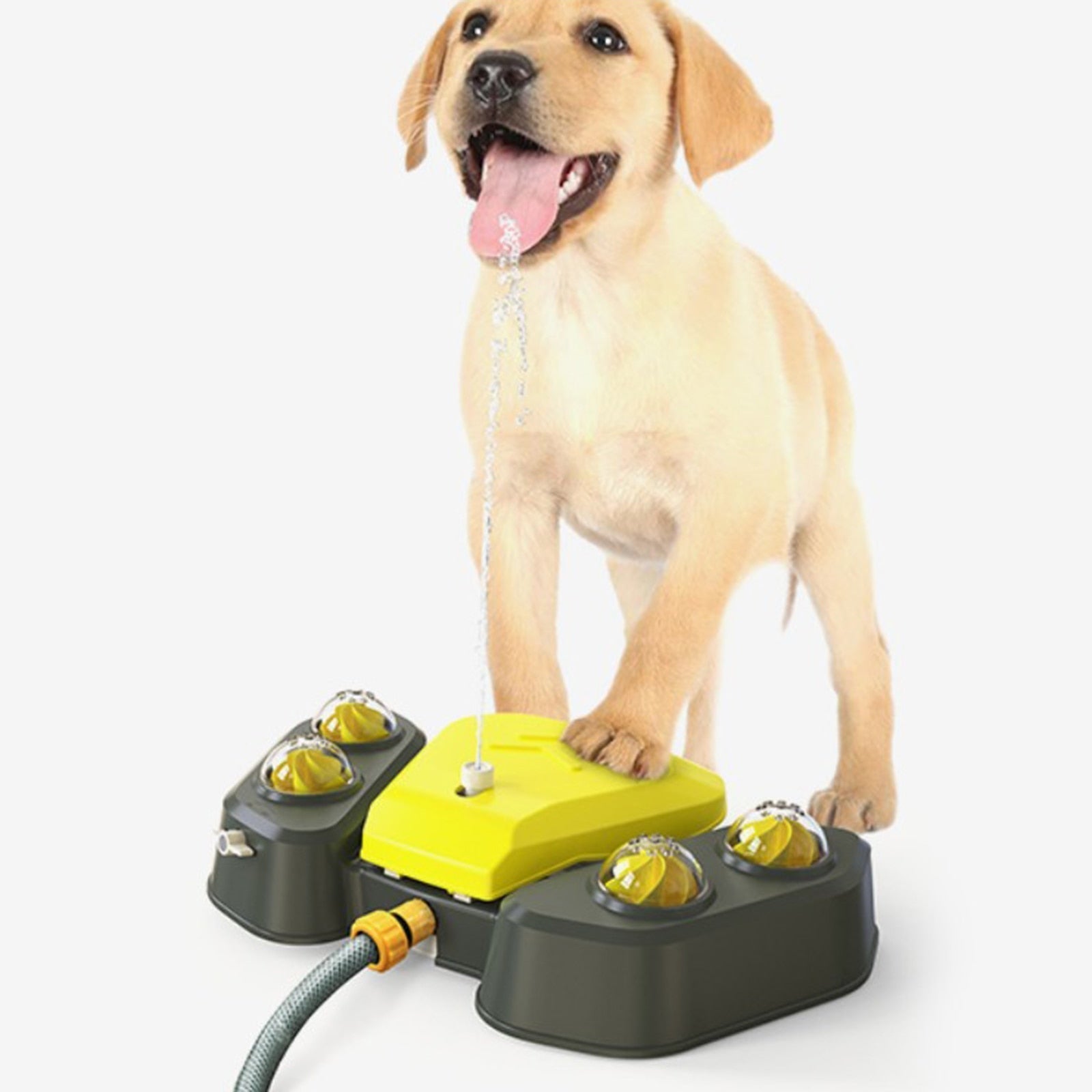 Dog Water Sprinkler - Alvorro