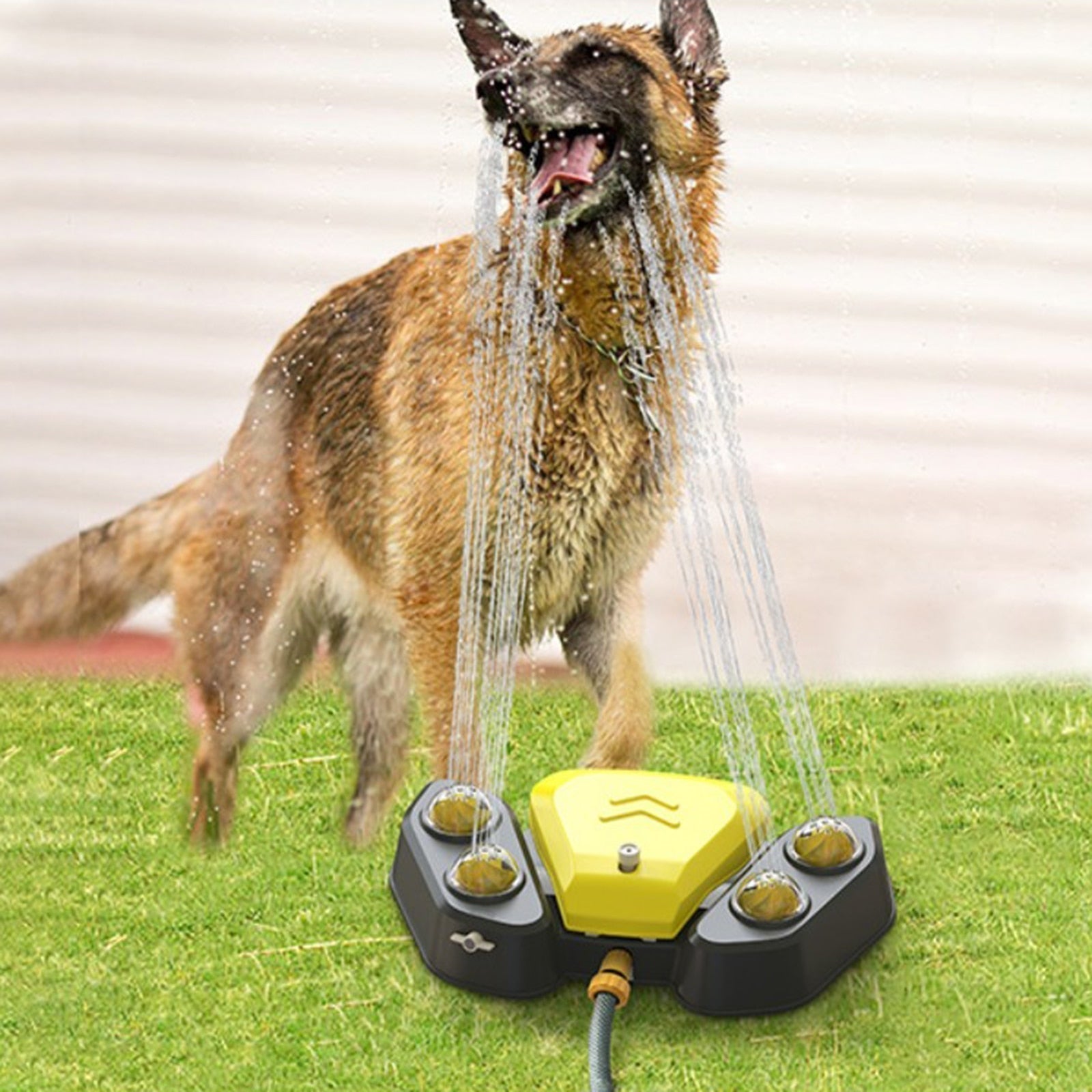Dog Water Sprinkler - Alvorro