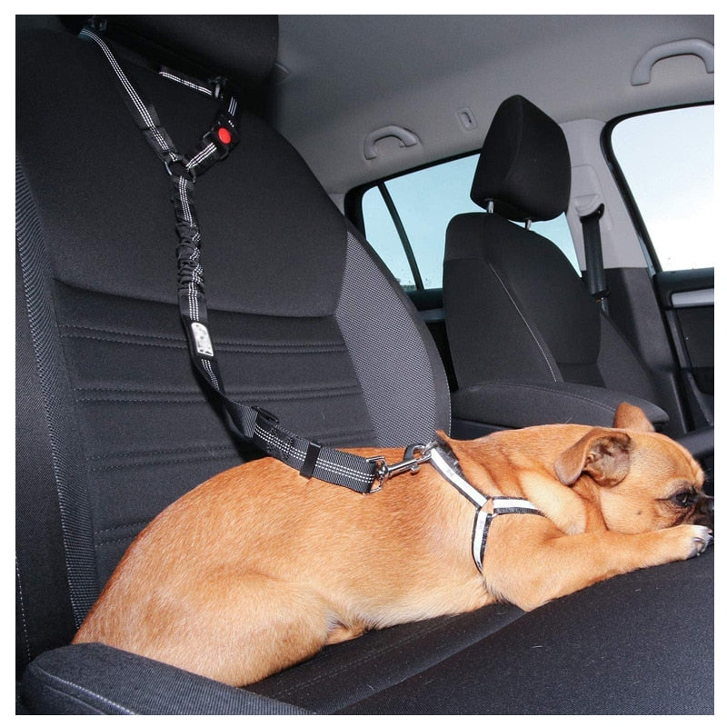 Car Dog Leash - Alvorro