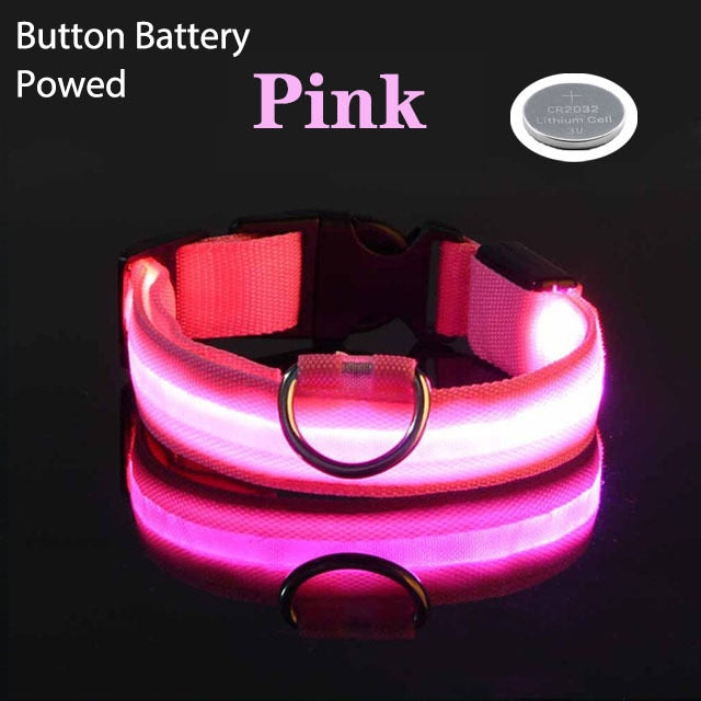 LED Flashing Dog Collar - Alvorro