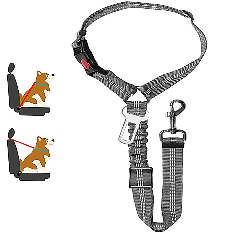 Car Dog Leash - Alvorro