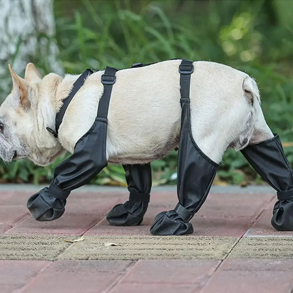 Adjustable Connected Dog Boots - Ultimate Paw Protection - Alvorro