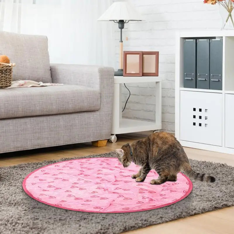 2 in 1 Simulated Interactive Hunting Cat Toy - Alvorro