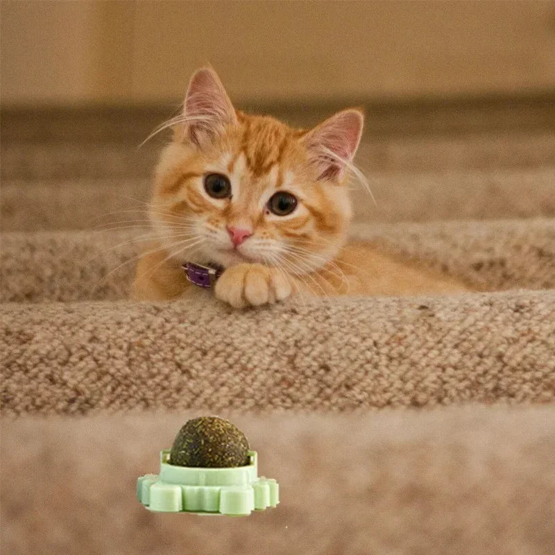 Natural Catnip Rotating Interactive Cat Toy - Alvorro