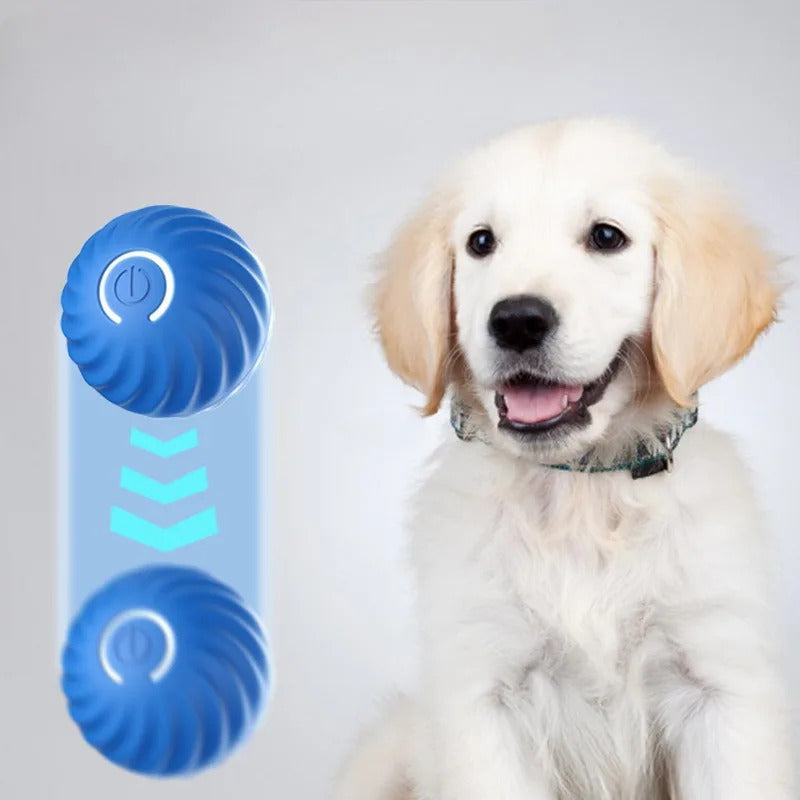 Interractive Motion Activated Rolling Ball Dog Toy - Alvorro