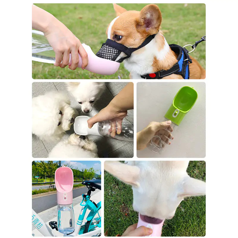 Pet Dog Water Bottle Feeder - Alvorro