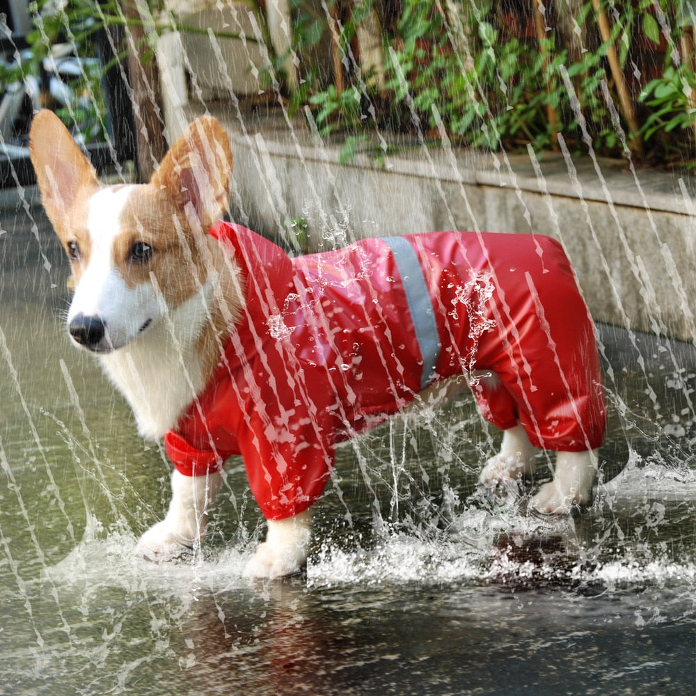 Reflective All-weather Waterproof Dog Rain Coat - Alvorro