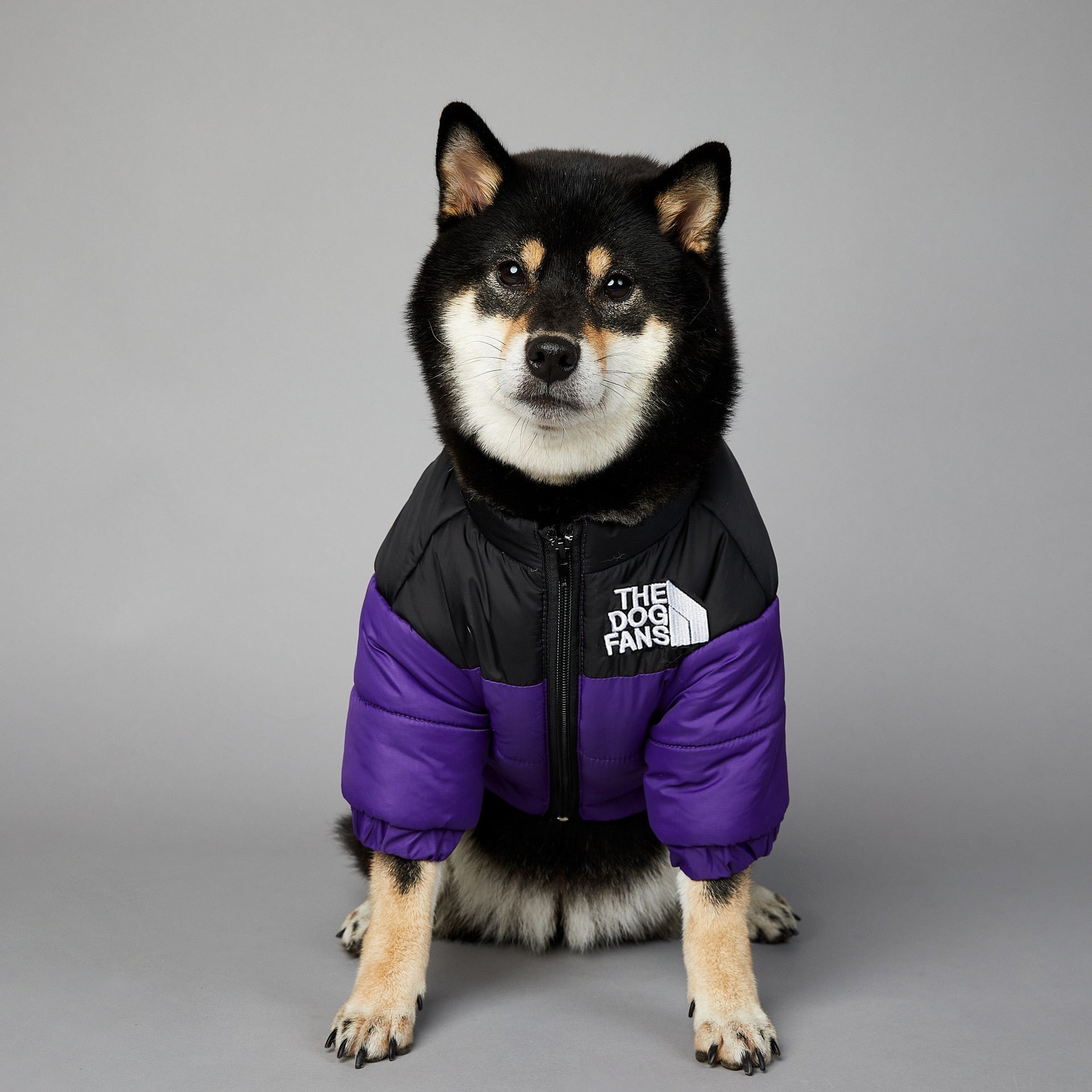 Dog Face Puffer Coat - Alvorro