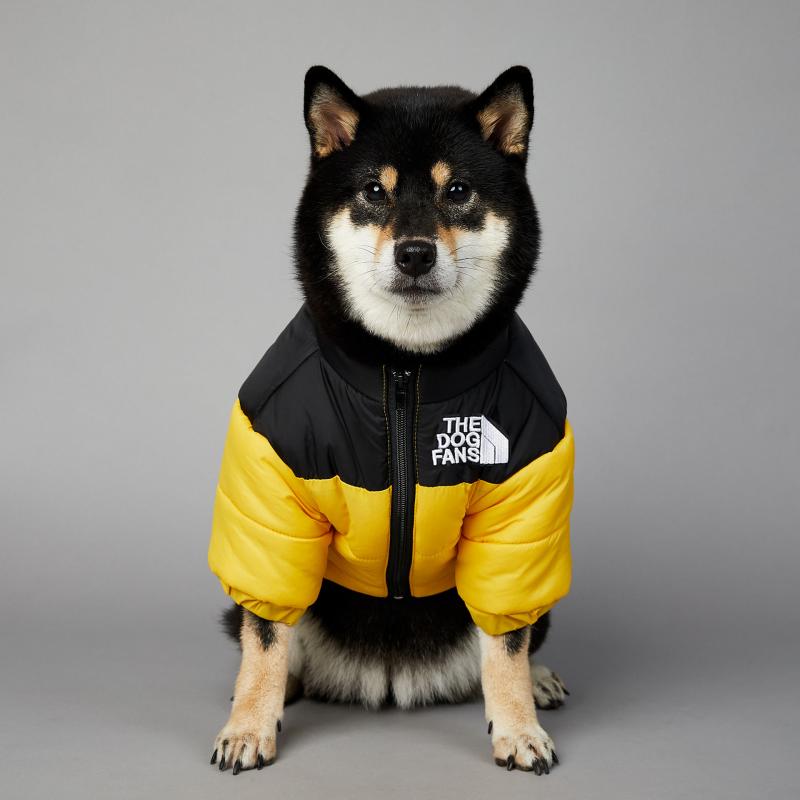 Dog Face Puffer Coat - Alvorro