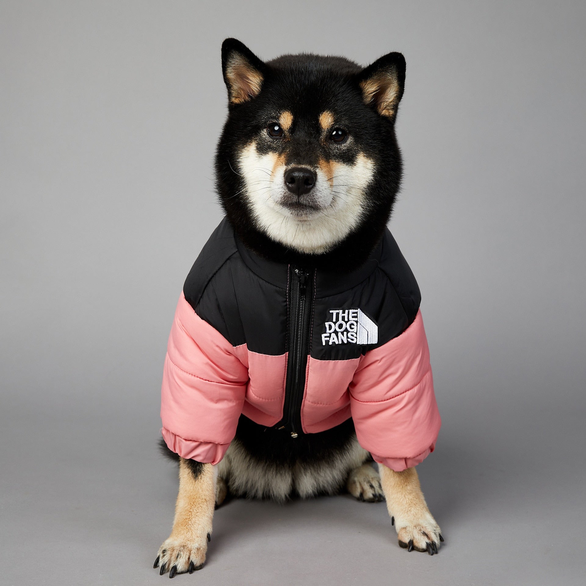 Dog Face Puffer Coat - Alvorro