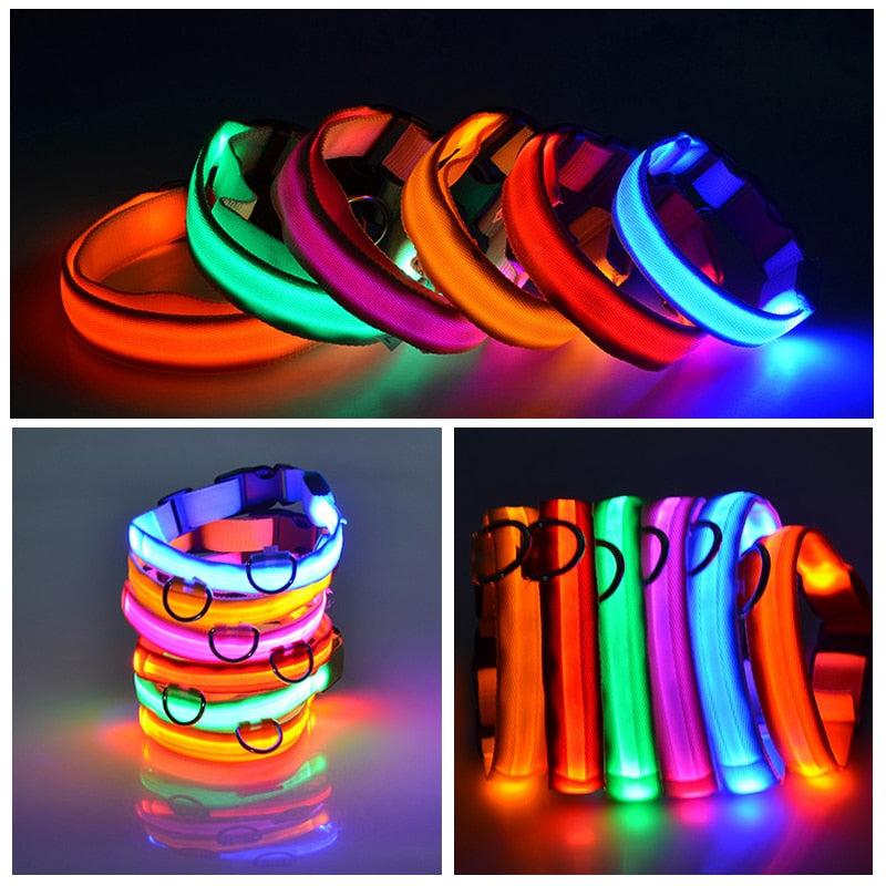 LED Flashing Dog Collar - Alvorro