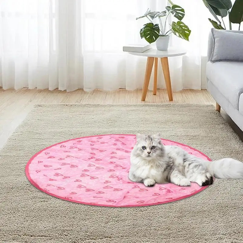 2 in 1 Simulated Interactive Hunting Cat Toy - Alvorro