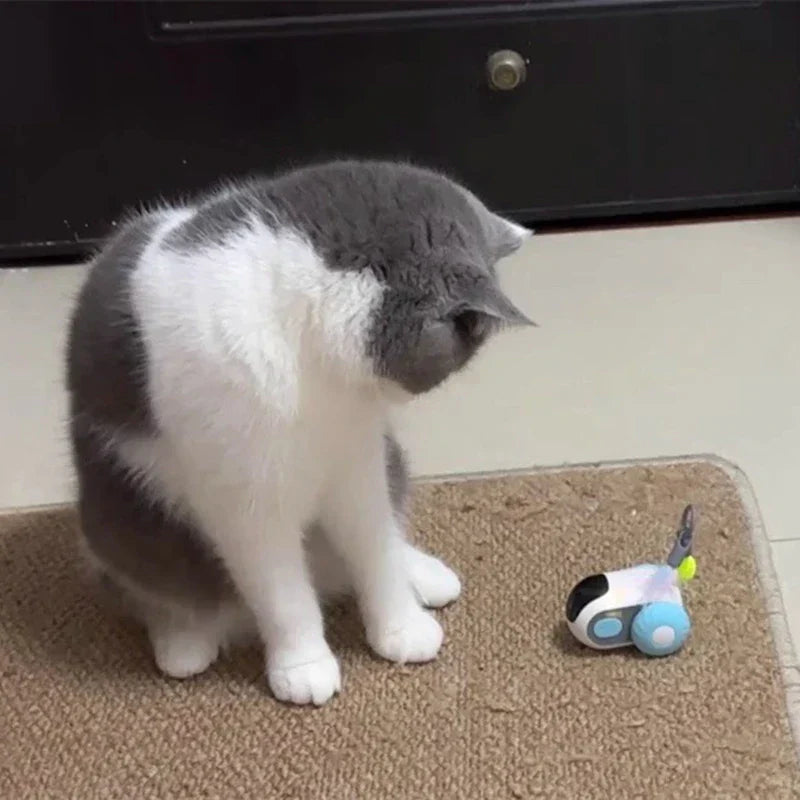 Automatic Cat Toy - Alvorro