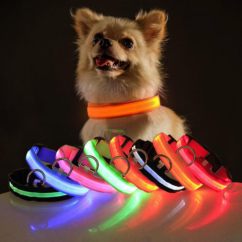 LED Flashing Dog Collar - Alvorro