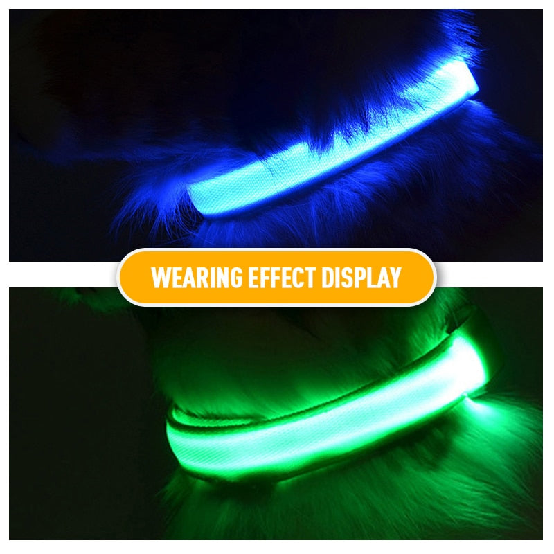LED Flashing Dog Collar - Alvorro