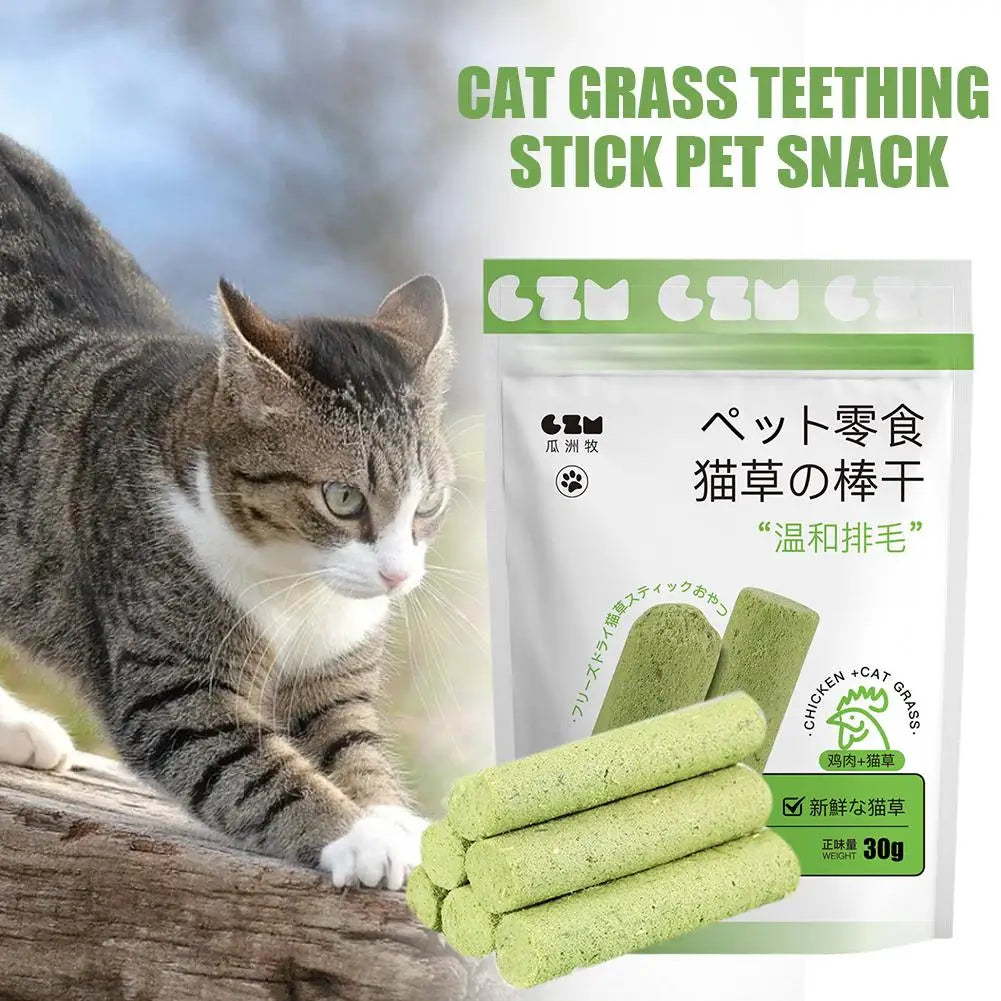 Cat Grass Teething Sticks - Alvorro