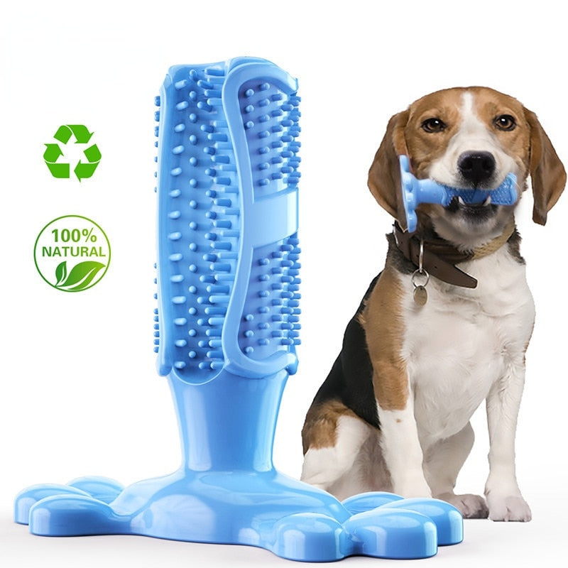 EZ Care Dog Toothbrush - Alvorro