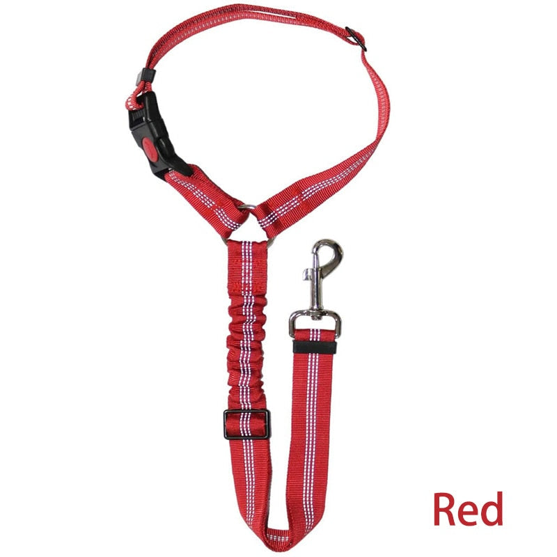 Car Dog Leash - Alvorro