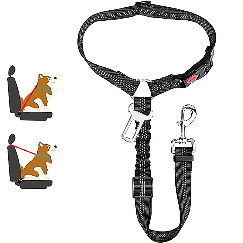 Car Dog Leash - Alvorro