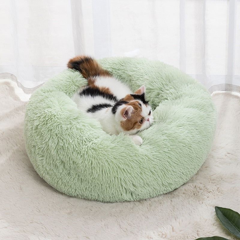 Calming Pet Bed - Alvorro