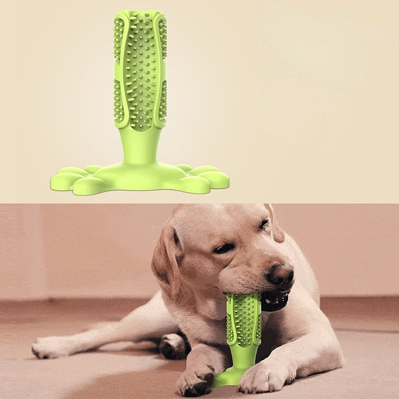 EZ Care Dog Toothbrush - Alvorro