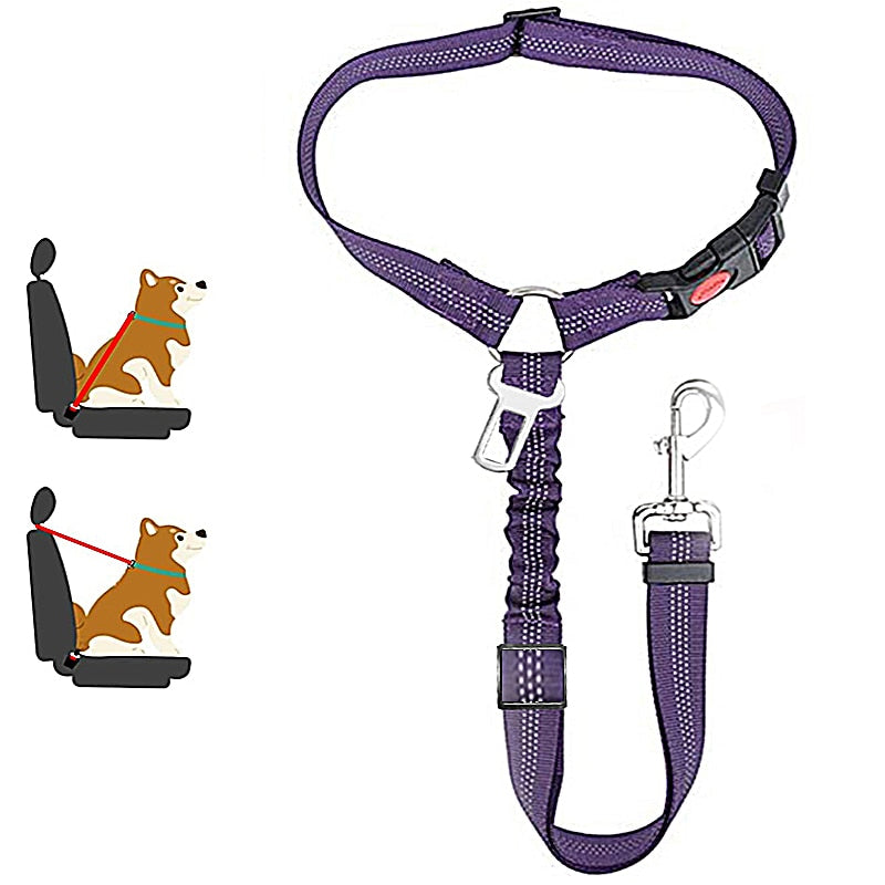 Car Dog Leash - Alvorro