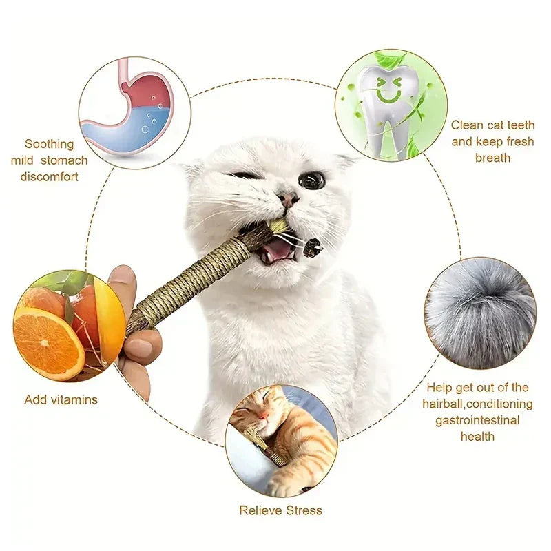 CAT SILVERVINE CHEWING STICK - Alvorro