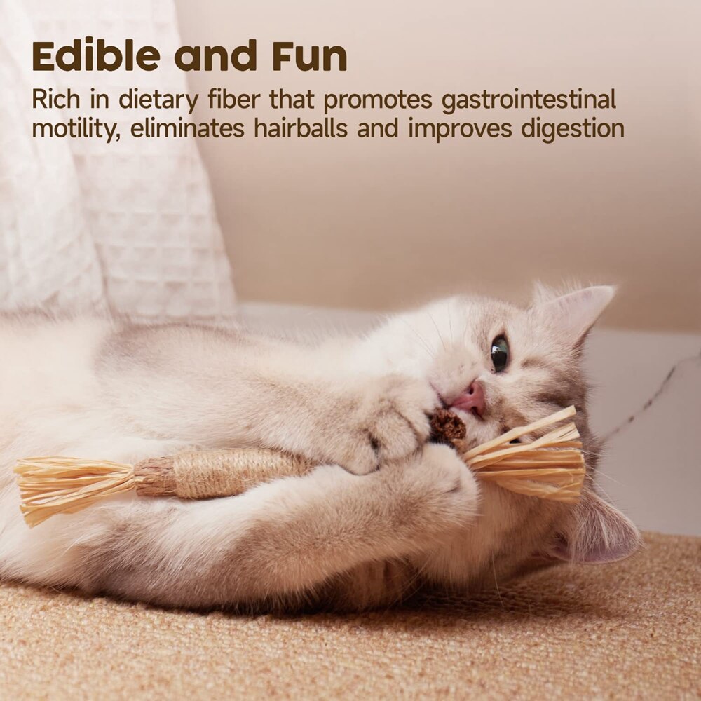Natural Silvervine Stick Cat Chew Toy-2pcs - Alvorro