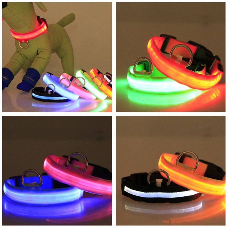 LED Flashing Dog Collar - Alvorro